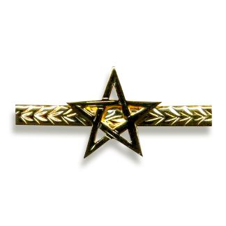 Scottish Star Centre Bar Jewel
